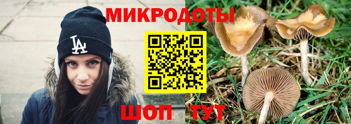 Галлюциногенные грибы мицелий Шебекино